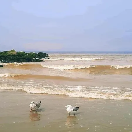 Picturesque In * Nieuwpoort
