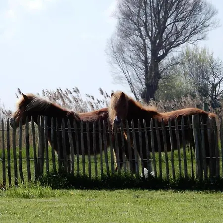 Picturesque In * Nieuwpoort