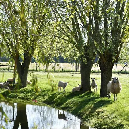 Picturesque In